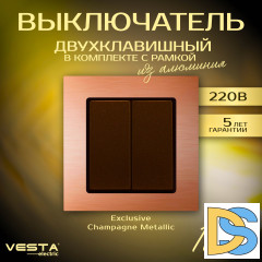 Выключатель двухклавишный в рамке из алюминия Vesta-Electric Exclusive Champagne Metallic