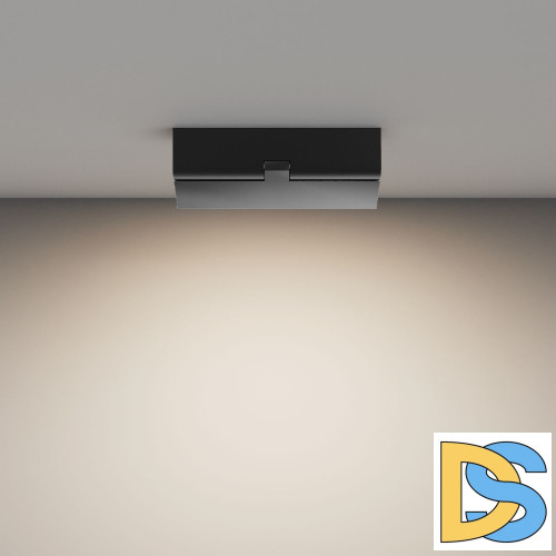 Потолочный светильник Maytoni Basis Rot C133CL-12W4K-B