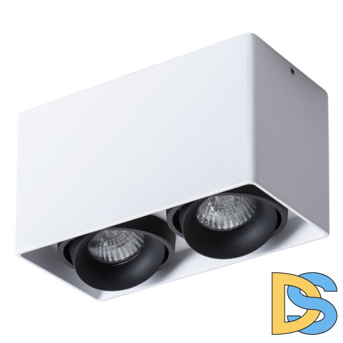 Потолочный светильник Arte Lamp Pictor A5654PL-2WH