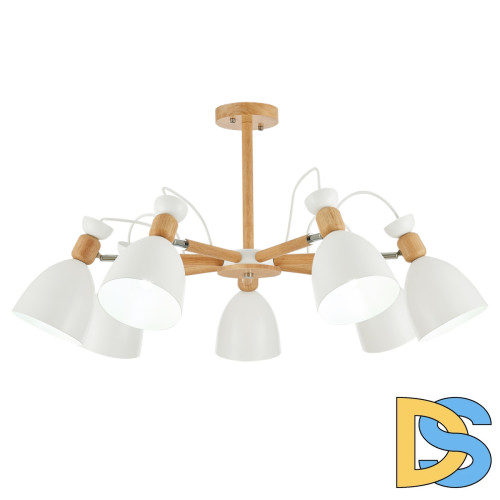 Потолочный светильник EVOLUCE BALCAMO SLE103802-07