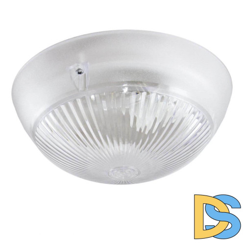 Настенно-потолочный светильник ЭРА НБП 06-60-101 Б0048411