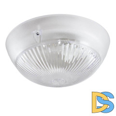 Настенно-потолочный светильник ЭРА НБП 06-60-101 Б0048411