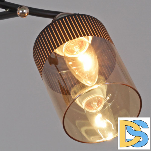 Потолочная люстра Reluce 09131-3.3-04 FG+BK