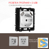 Розетка с заземлением, шторками + 2 USB Arte Milano 217.47-1.silver