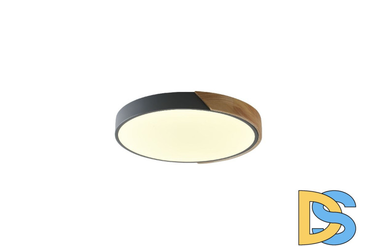 Потолочный светильник Zortes Alberro ZRS.01280.90