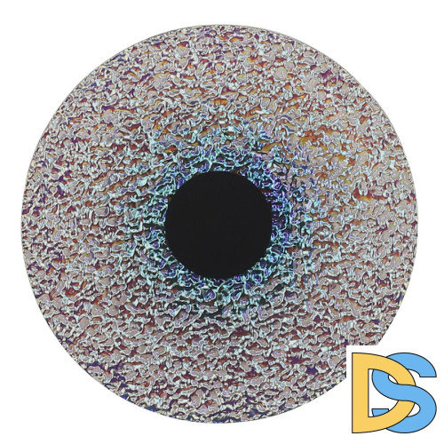 Настенный светильник ST Luce Alumno SL6142.421.01