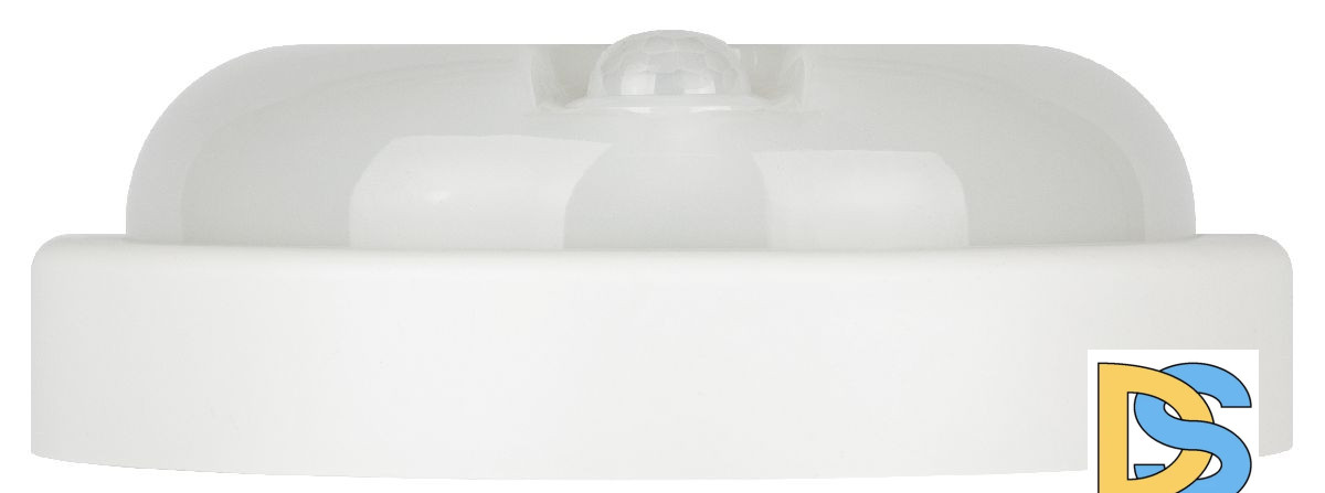 Настенно-потолочный светильник Эра SPB-201-3-65K-012 Б0062557