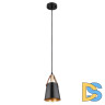 Подвесной светильник Arte Lamp Thomas A7032SP-1BK