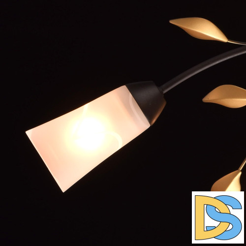 Потолочная люстра MW-Light Восторг 242015206
