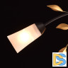 Потолочная люстра MW-Light Восторг 242015206
