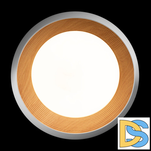 Потолочный светильник Loft IT Folk 10255/500 White