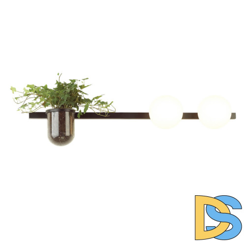 Настенный светильник Odeon Light Flower 4681/2W