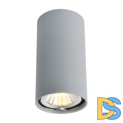 Потолочный светильник Arte Lamp A1516PL-1GY