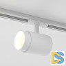 Трековый однофазный светильник Elektrostandard Cors 4690389192234 a062391