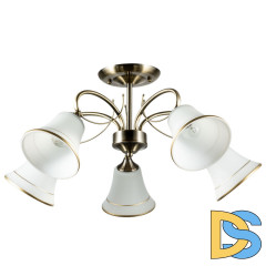 Люстра на штанге ARTE Lamp A2709PL-5AB