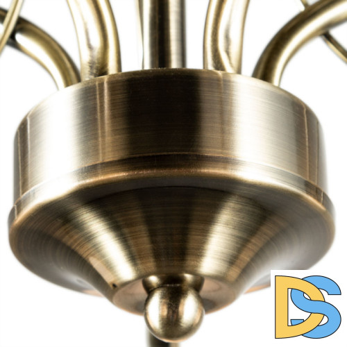 Люстра на штанге ARTE Lamp A2709PL-5AB