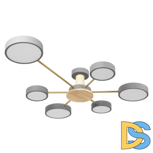 Потолочная люстра Loft IT Sunrise 10316/6 Grey