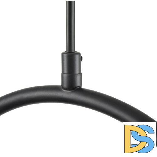 Подвесной светильник Lumion Ornato 8035/3