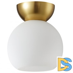 Потолочный светильник iLamp Mono C6079-1 GD+WH