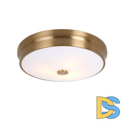 Потолочный светильник Favourite Pannikin 2375-3C