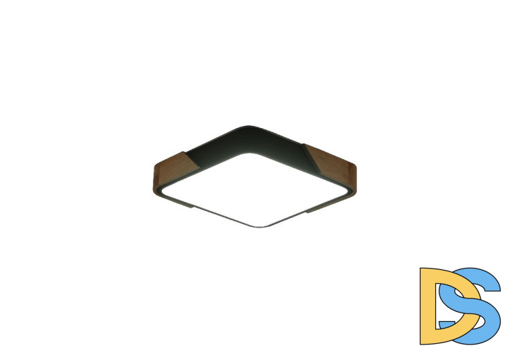 Потолочный светильник Zortes Alberro ZRS.01281.24