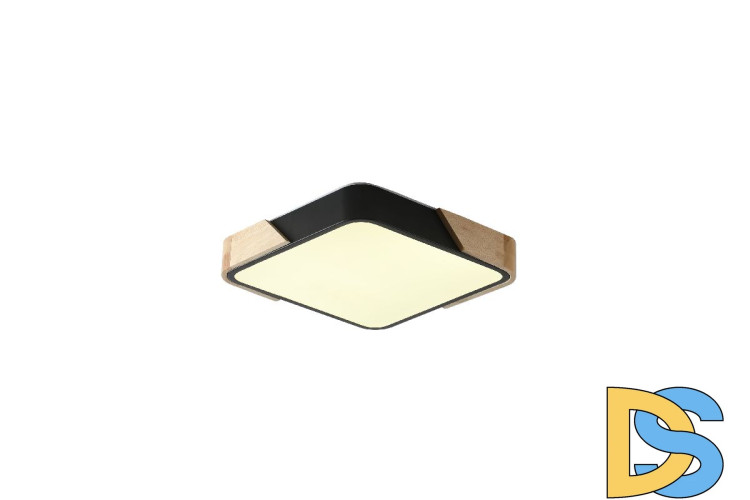 Потолочный светильник Zortes Alberro ZRS.01281.24