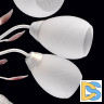 Потолочная люстра MW-Light Восторг 242016508