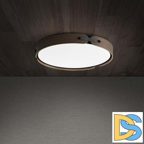 Потолочный светильник ImperiumLoft Range 195541-26