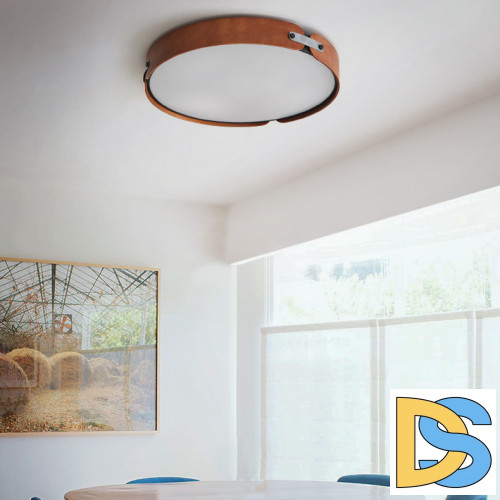 Потолочный светильник ImperiumLoft Range 195541-26