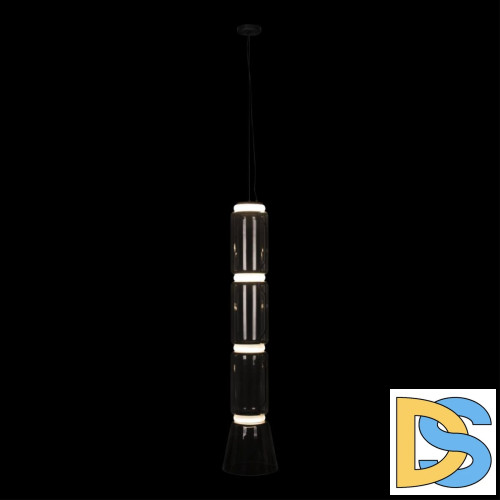 Подвесной светильник Loft IT Noctambule 10193/L