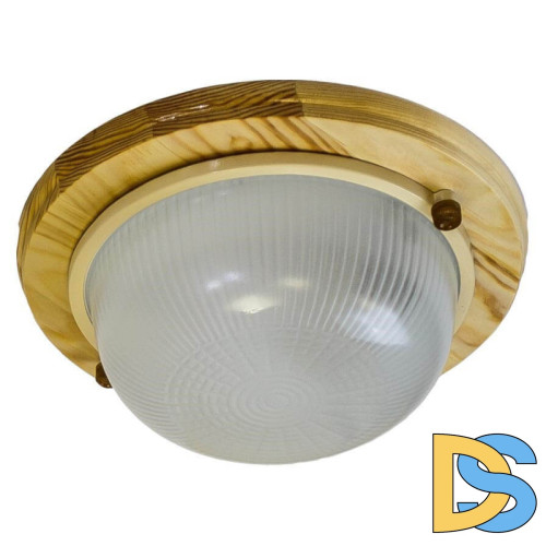 Настенно-потолочный светильник ЭРА НБО 03-60-011 Б0048413