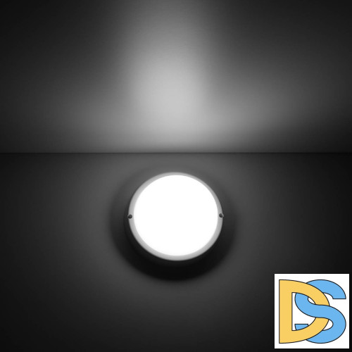 Потолочный светодиодный светильник Gauss Сауна 126411208