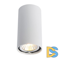 Потолочный светильник Arte Lamp A1516PL-1WH