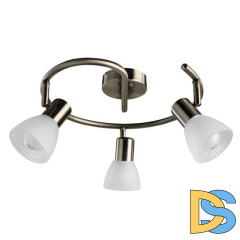 Спот Arte Lamp Parry A5062PL-3AB