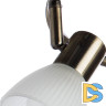 Спот Arte Lamp Parry A5062PL-3AB