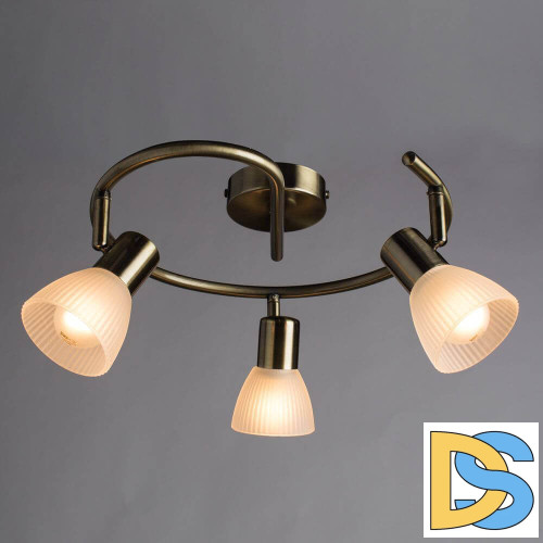 Спот Arte Lamp Parry A5062PL-3AB