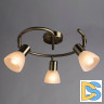 Спот Arte Lamp Parry A5062PL-3AB
