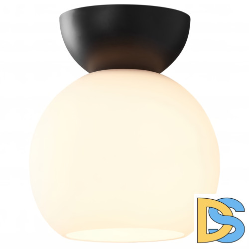 Потолочный светильник iLamp Mono C6079-1 BK+WH