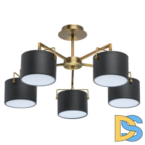 Потолочная люстра MW-Light Сайрус 2 721010205