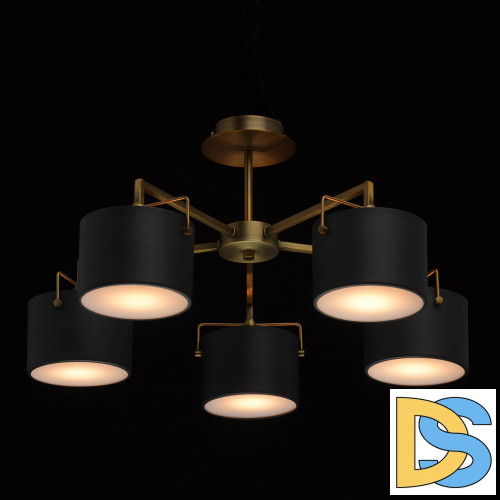 Потолочная люстра MW-Light Сайрус 2 721010205
