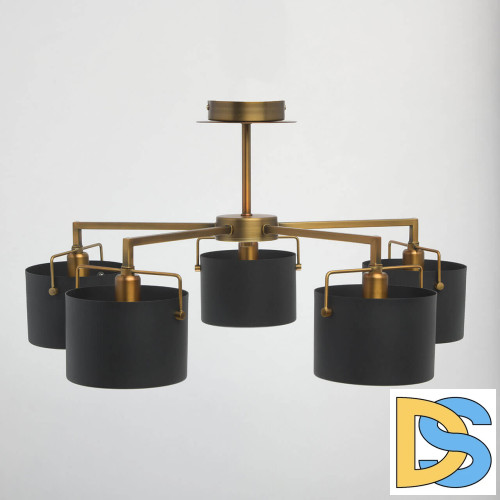 Потолочная люстра MW-Light Сайрус 2 721010205