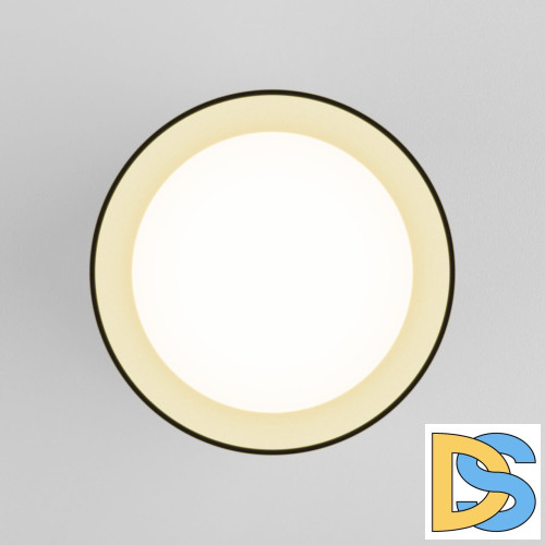 Потолочный светодиодный светильник Elektrostandard Topper DLR021 черный жемчуг 4690389167621