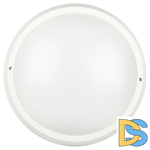 Настенно-потолочный светильник Эра SPB-203-0-65К-024 Б0062684