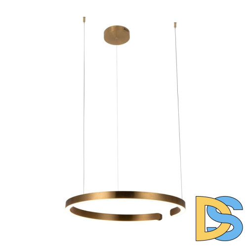 Подвесной светодиодный светильник Loft IT Ring 10013L