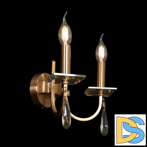 Бра Freya Forte FR1006WL-02G