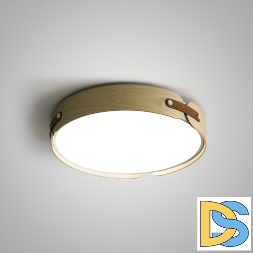 Потолочный светильник ImperiumLoft Range 195542-26