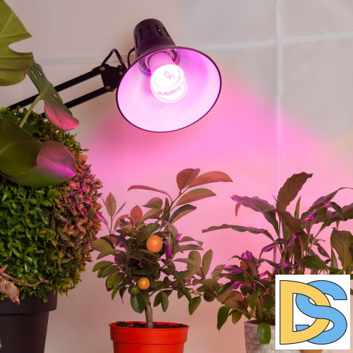 Фитолампа для растений светодиодная ЭРА E27 14W 1310K FITO-14W-RB-E27-K Б0039071