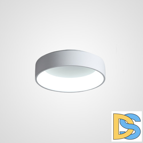 Потолочный светильник ImperiumLoft Tray 102137-26