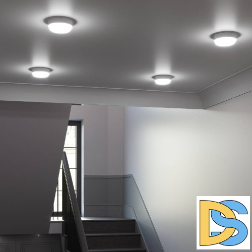 Потолочный светодиодный светильник Gauss Сауна 126411212