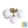 Потолочный светильник ARTE Lamp A2704PL-5SG